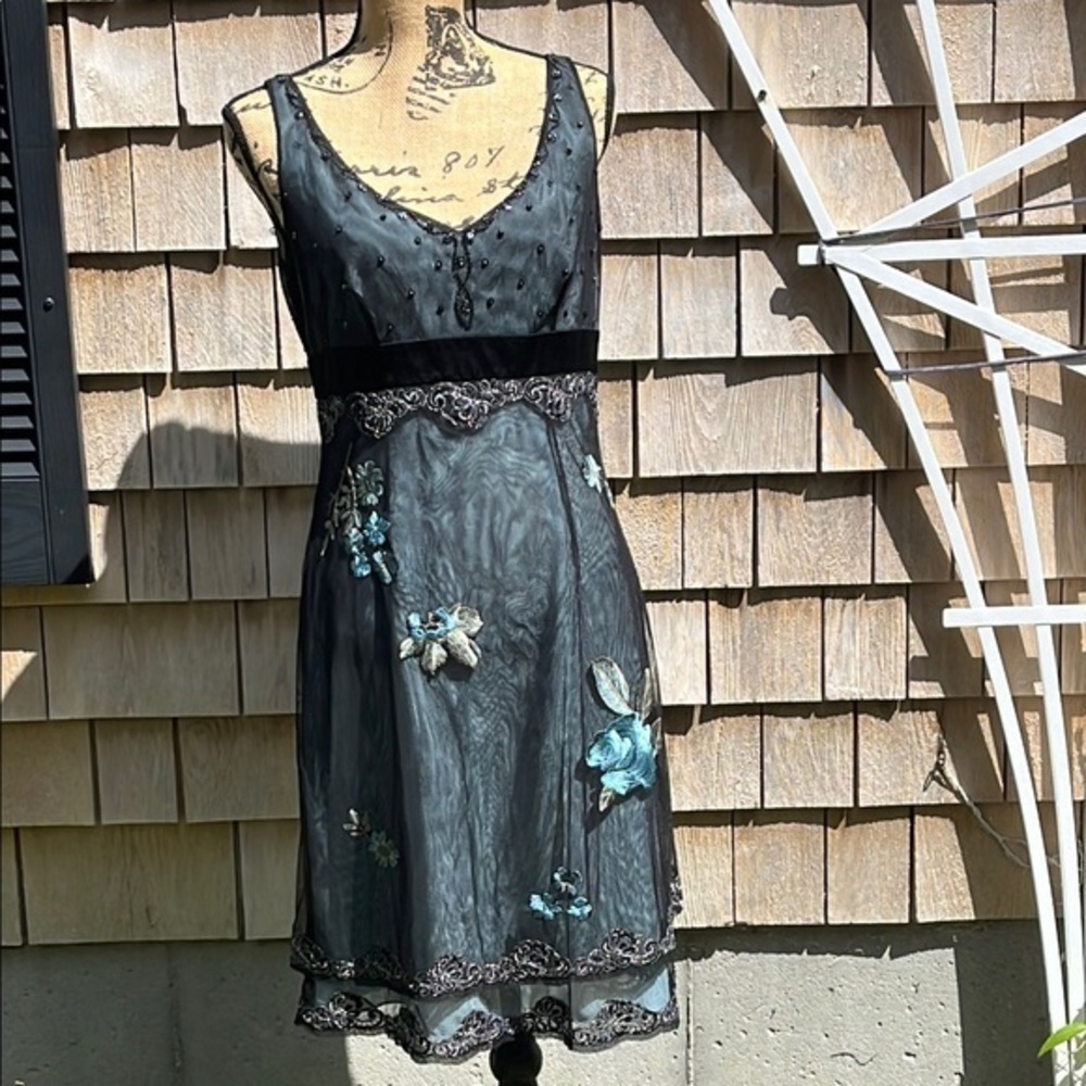 NWT Adriana Papell lace embroidered net sheer dress- gown- Size 10 - Picture 1 of 17